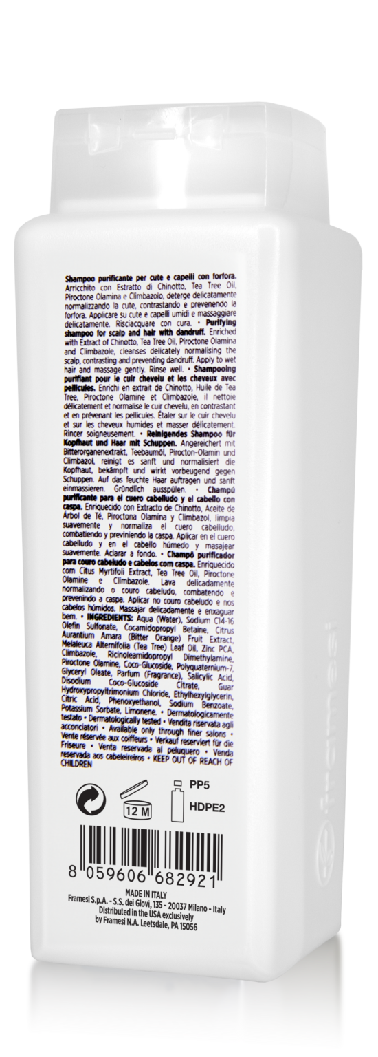 Morphosis Purifying Shampoo Framesi